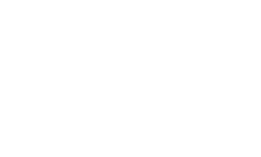 A Dozen Summers logo