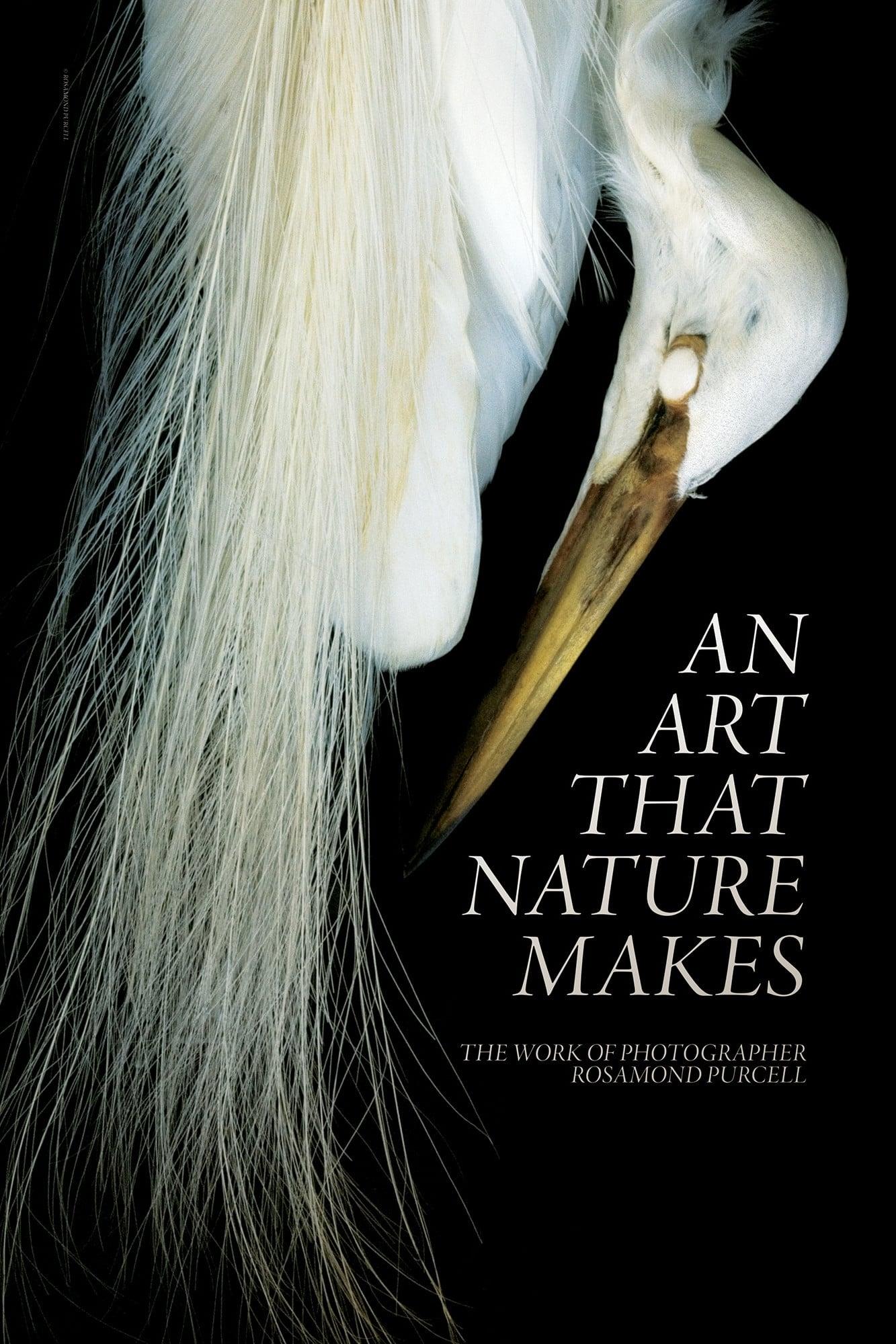 An Art That Nature Makes: The Work of Rosamond Purcell poster