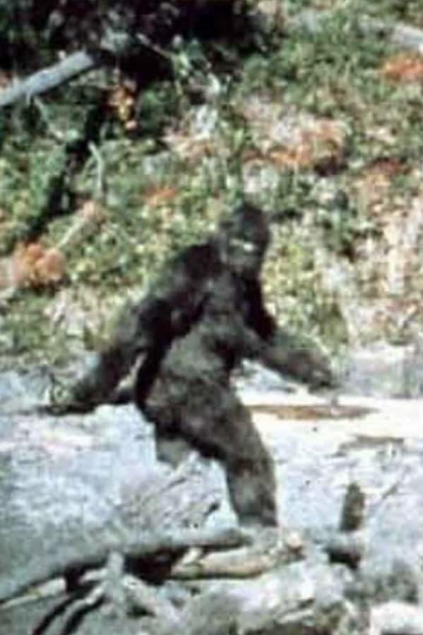 Bigfoot poster