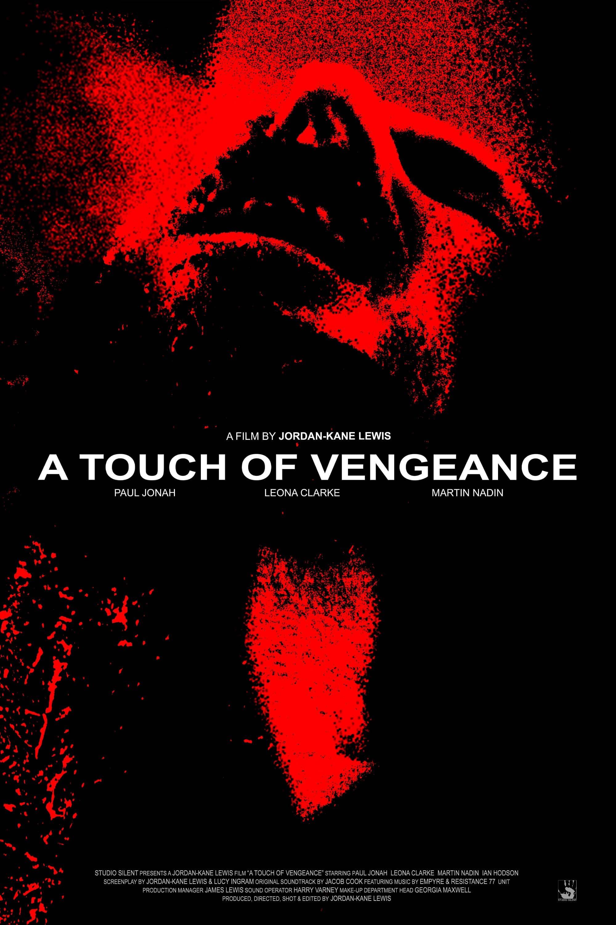 A Touch of Vengeance poster