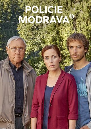 Policie Modrava poster