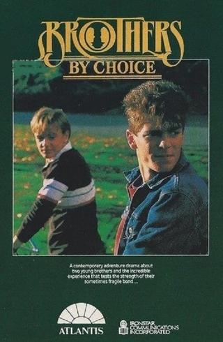 Brothers by Choice poster
