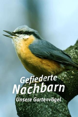 Gefiederte Nachbarn - Unsere Gartenvögel poster