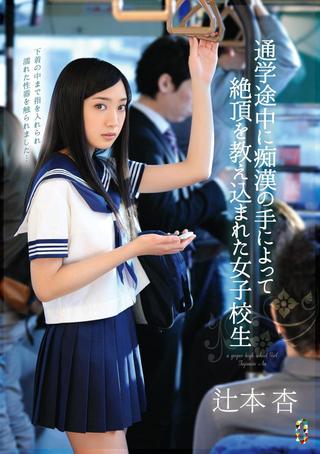 A Schoolgirl Is Taught A Lesson in Ecstasy By The Hands Of A Molester While On Her Way To School Starring Ann Tsujimoto poster
