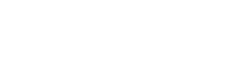 Nanny Seduction logo