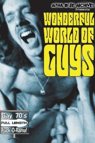 The Wonderful World of Guys poster