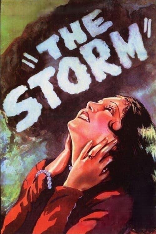 The Storm poster