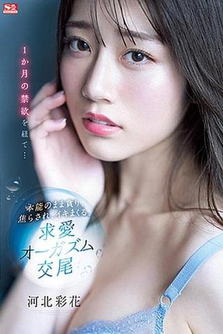 After A Month Of Celibacy … She Let Her Instinct Take Over, As Lusted, Was Teased, And Came Like Crazy. Loving, Orgasmic Sex Saika Kawakita poster