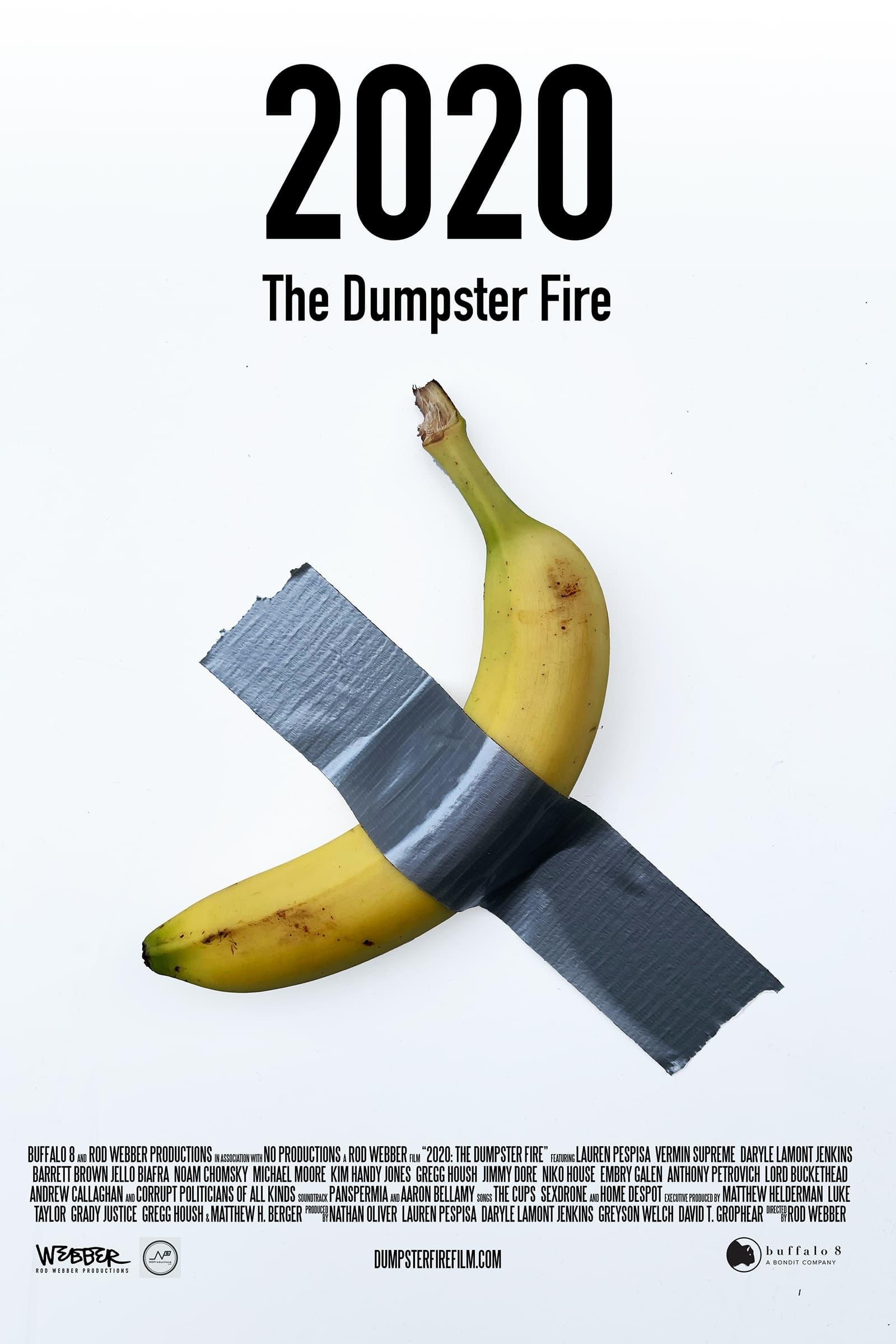 2020: The Dumpster Fire poster