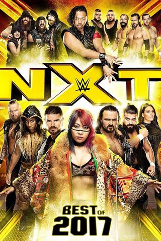 NXT: Best of 2017 poster