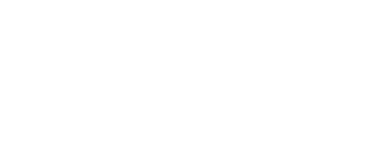 Tiny House Nation logo