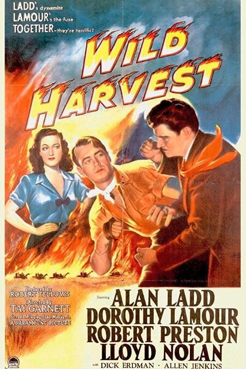 Wild Harvest poster