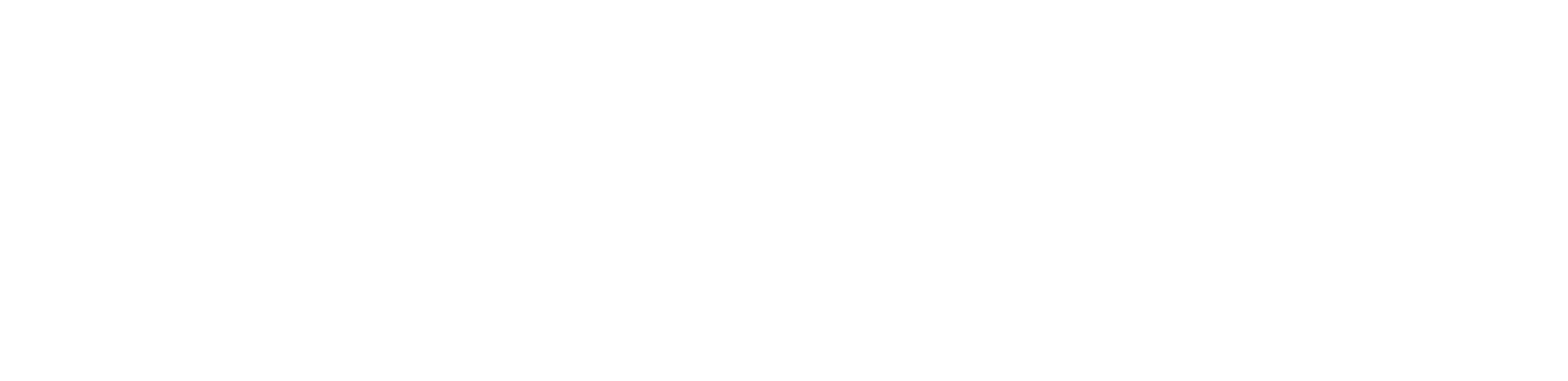 New York Super Airport logo
