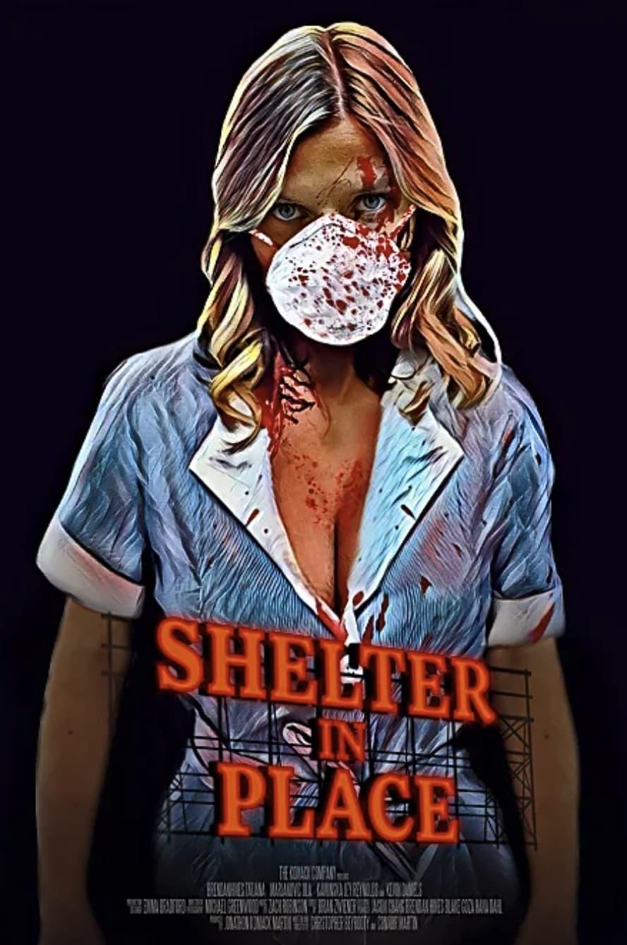 Shelter in Place poster