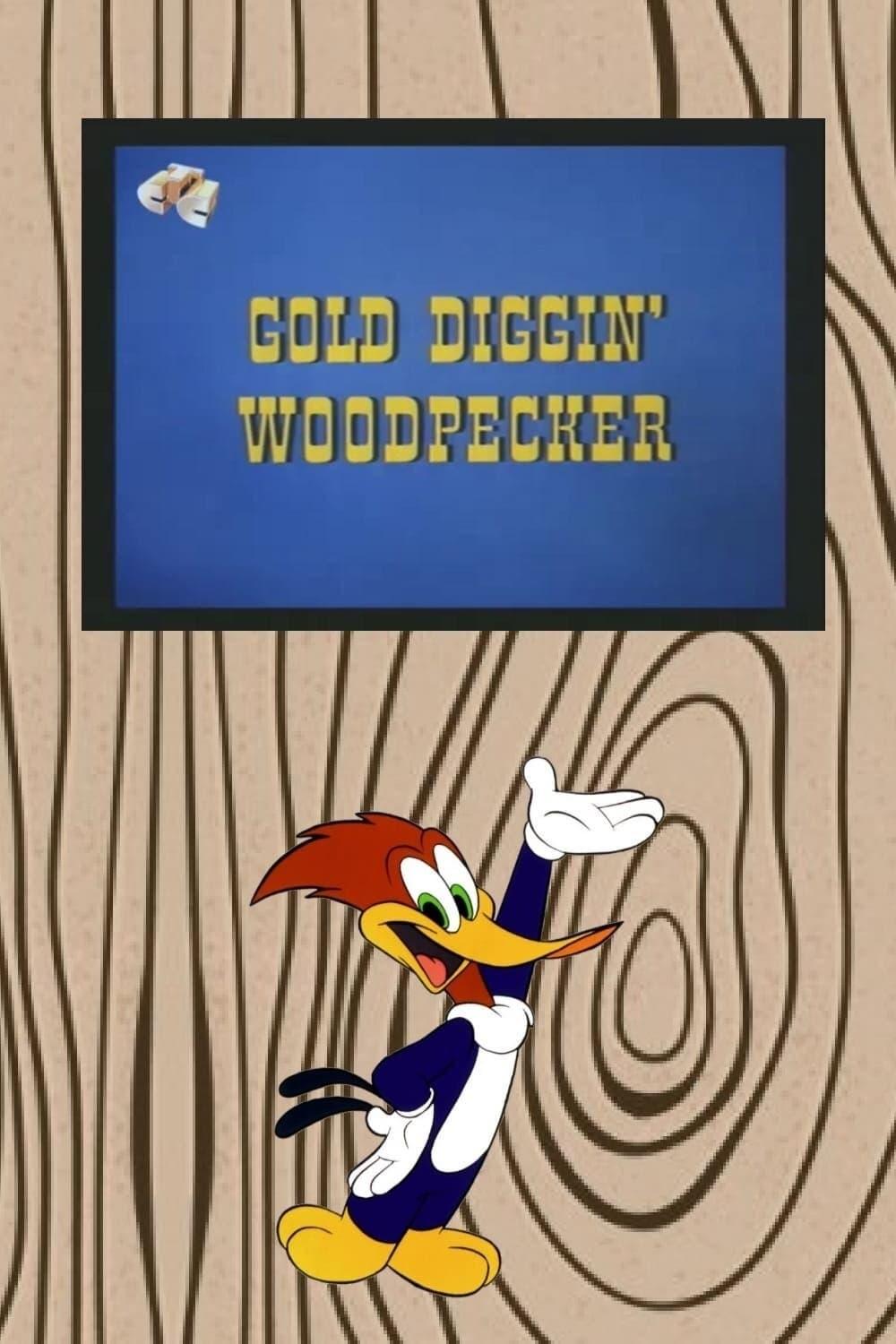 Gold Diggin' Woodpecker poster