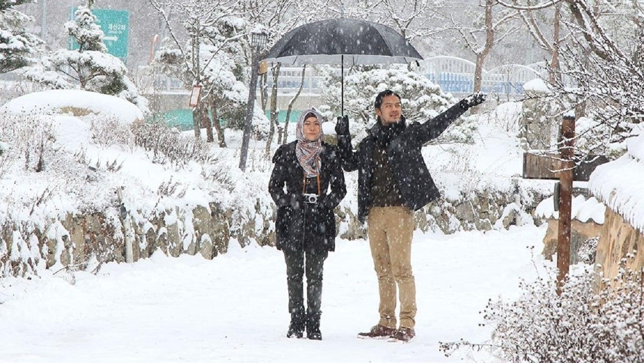 Jilbab Traveler: Love Sparks in Korea backdrop