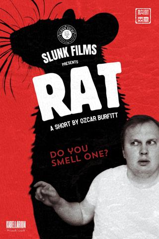 Rat poster