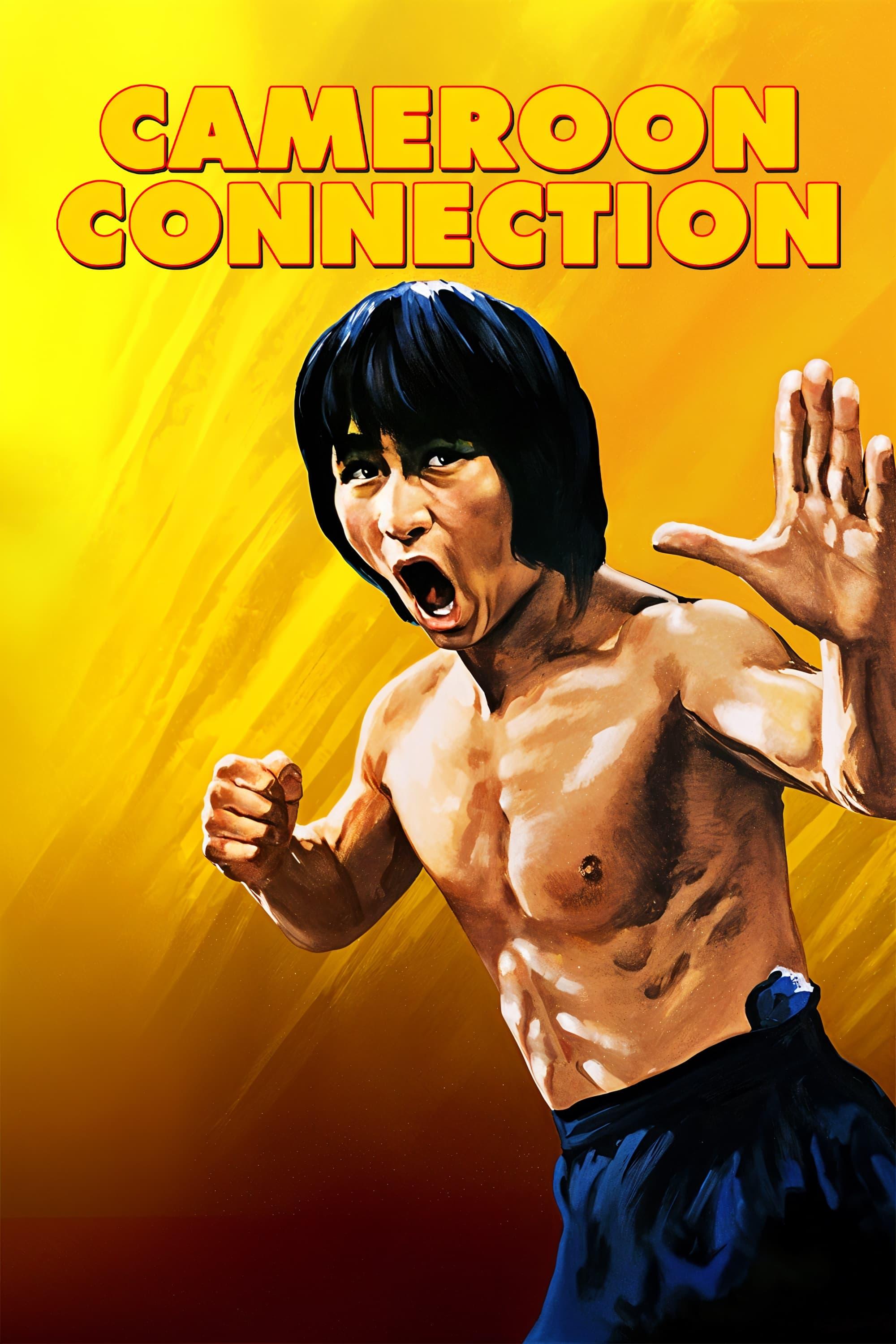 Cameroon Connection poster