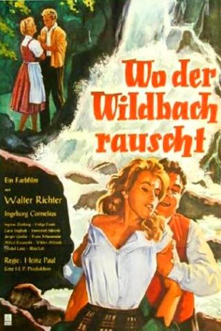 Wo der Wildbach rauscht poster