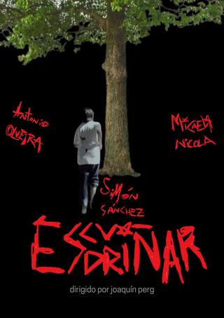 Escudriñar poster