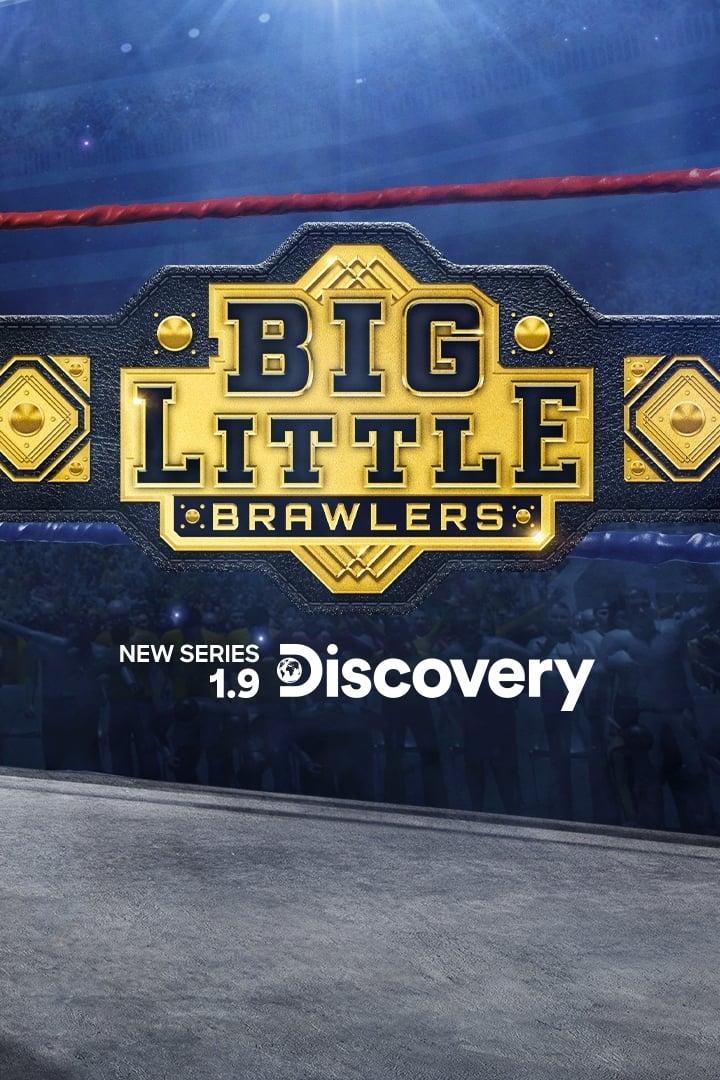 Big Little Brawlers poster