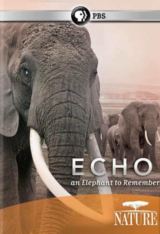 Echo: An Elephant to Remember poster