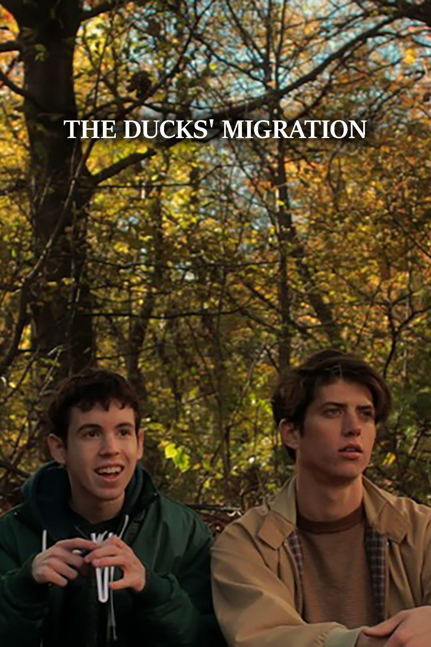 The Ducks' Migration poster