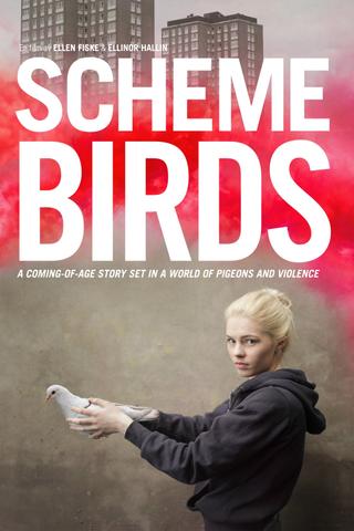 Scheme Birds poster