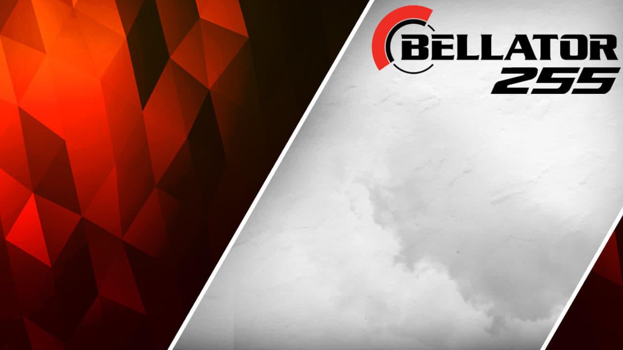 Bellator 255: Pitbull vs. Sanchez 2 backdrop