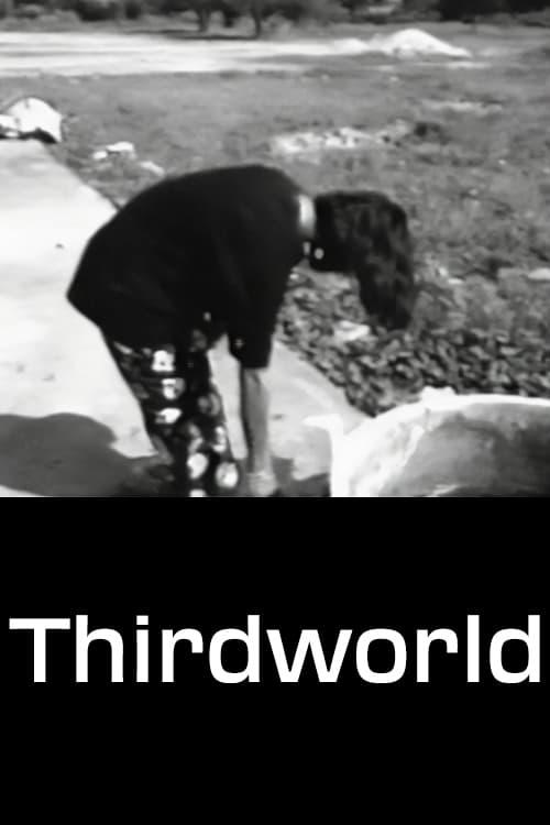 Thirdworld poster