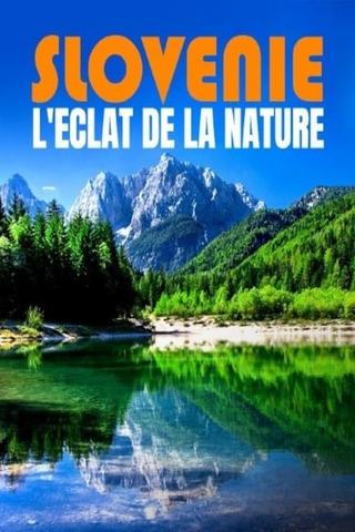 Slovénie - L’éclat de la nature poster