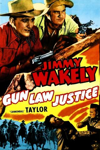 Gun Law Justice poster