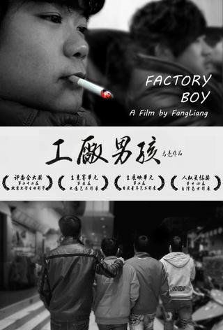 Factory Boy poster