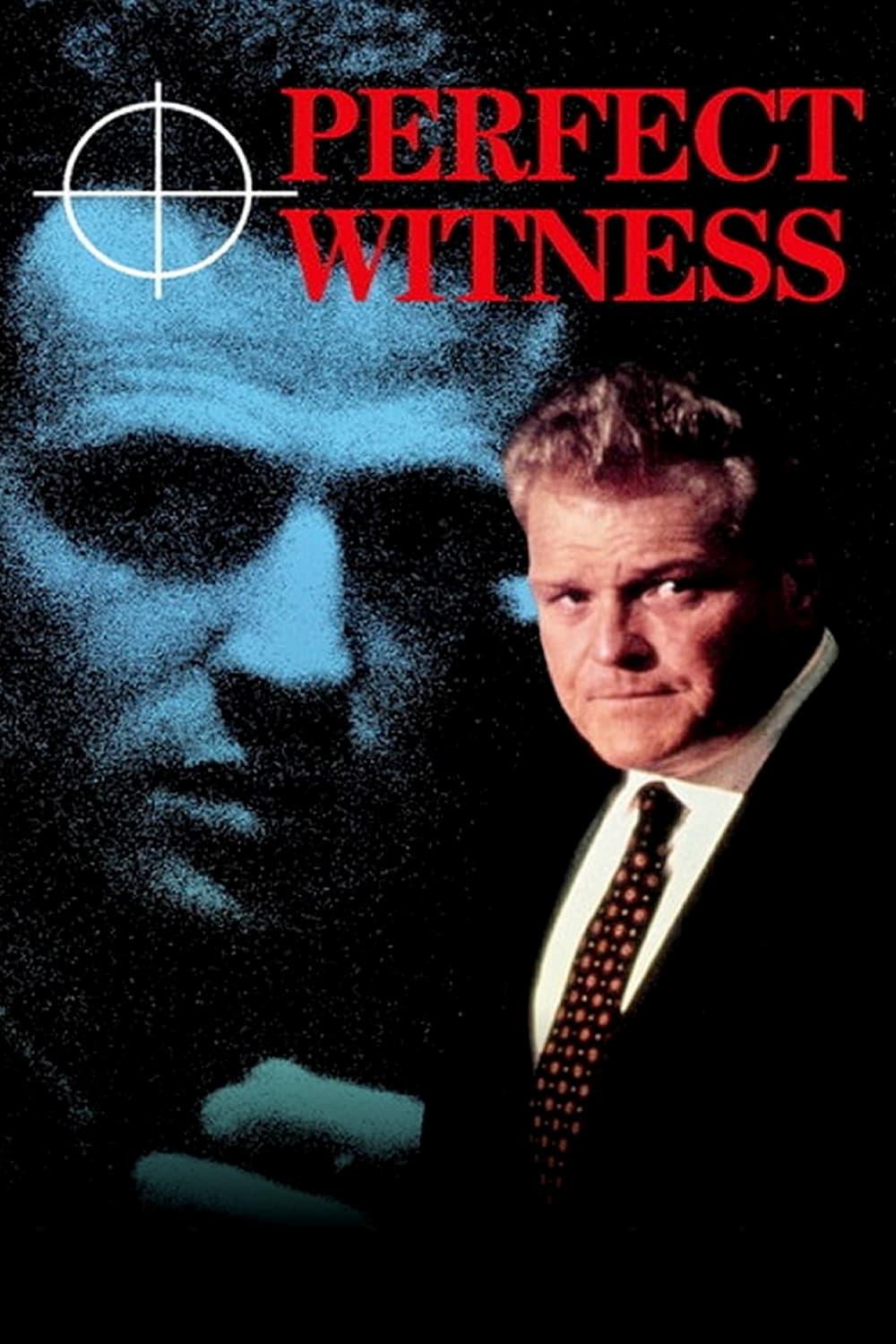 Perfect Witness poster