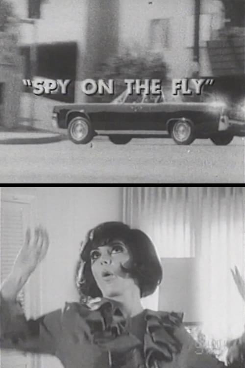 Spy on the Fly poster