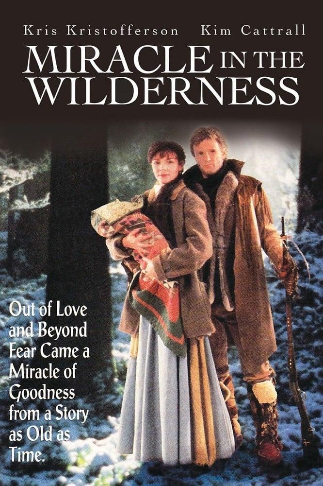 Miracle in the Wilderness poster