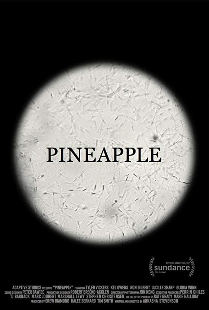 Pineapple poster