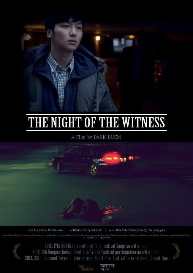 The Night of the Witness poster