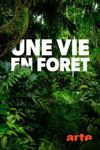 Une vie en forêt poster