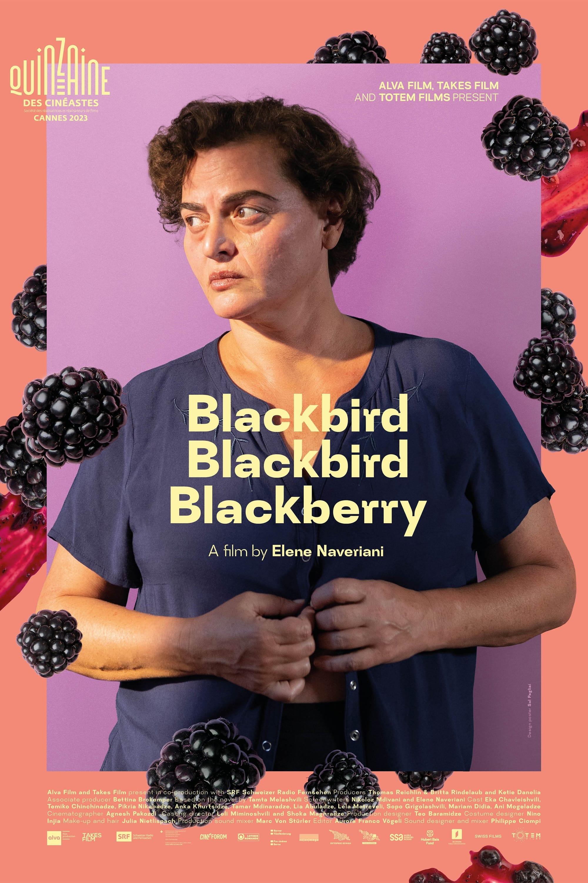 Blackbird Blackbird Blackberry poster