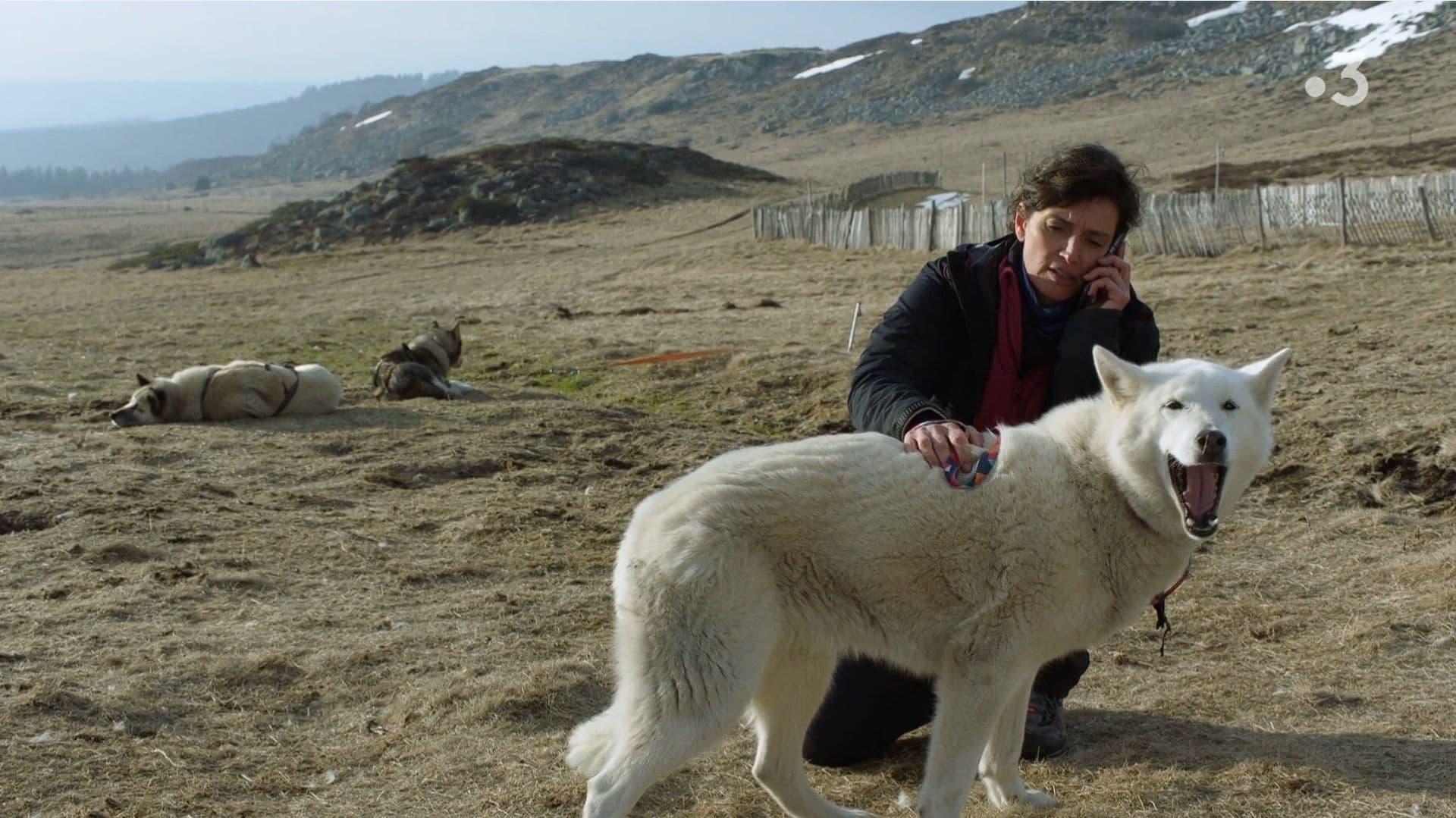 La doc et le véto : En chiens de faïence backdrop