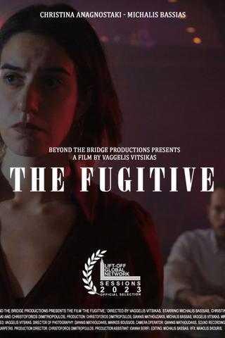 The Fugitive poster