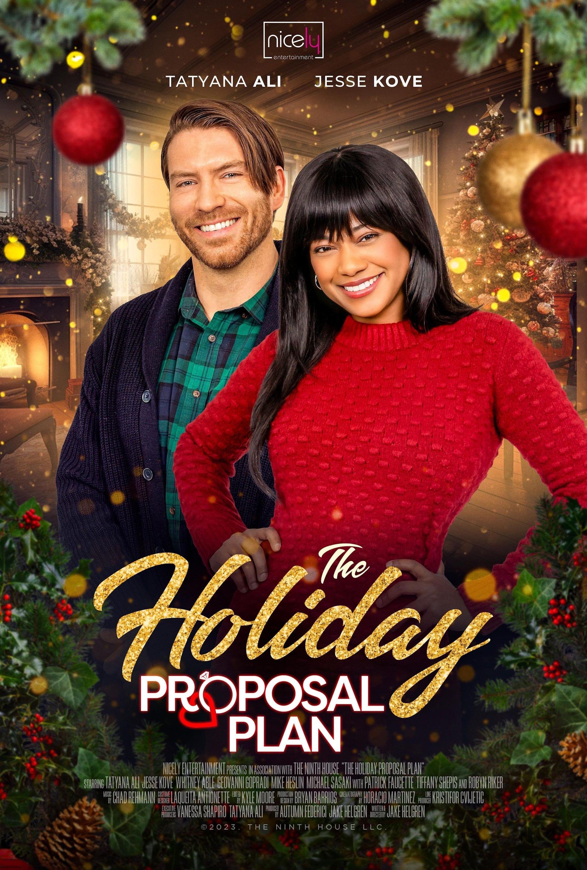 The Holiday Proposal Plan poster