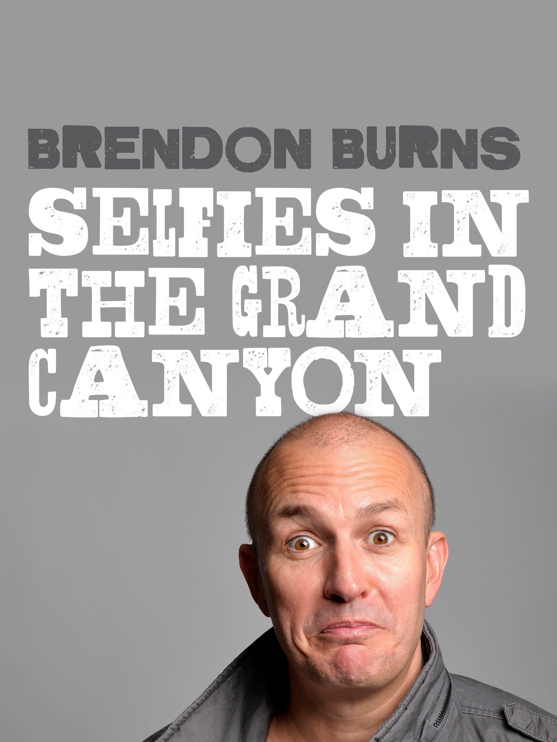 Brendon Burns: Selfies in the Grand Canyon poster