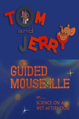Guided Mouse-Ille poster