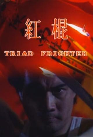 Triad Fighter poster