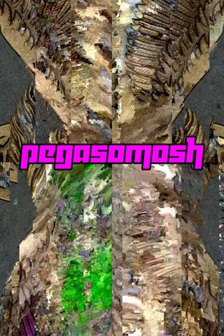 PegaSOMOSh poster