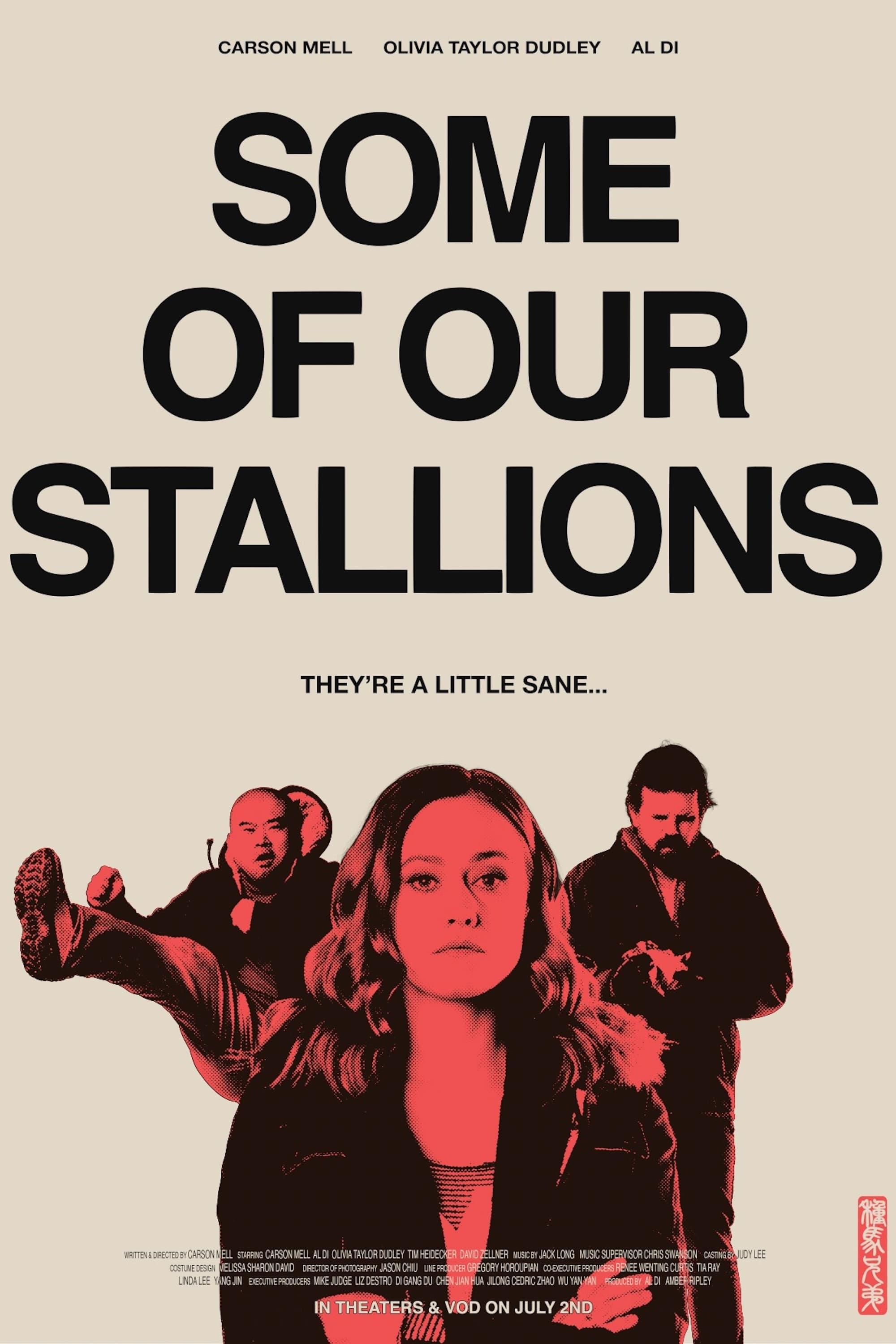 Some of Our Stallions poster