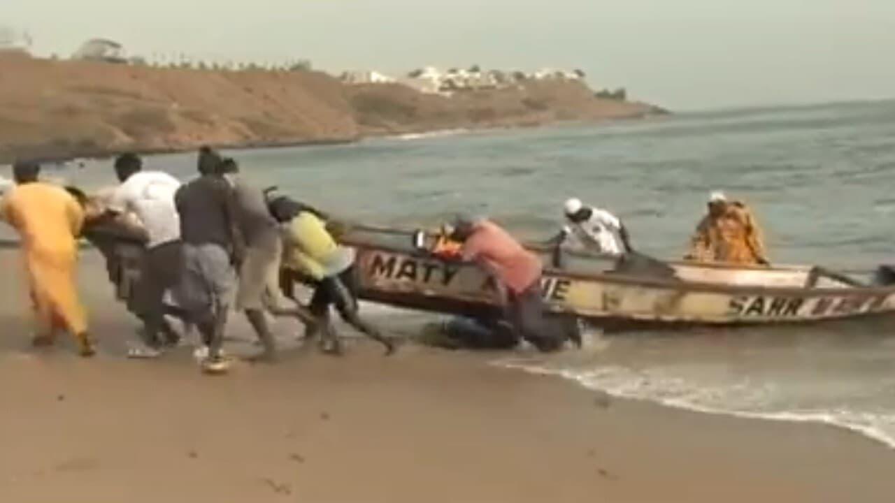 Halte au Massacre du Littoral backdrop