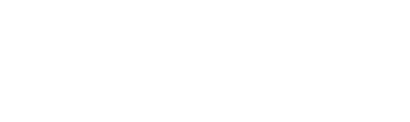 Northern Lights logo